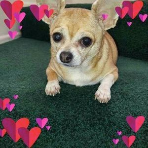 Meet your Posher, Bertha